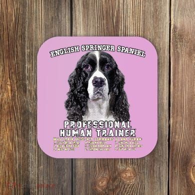 English Springer Spaniel Black Professional Human Trainer Coaster