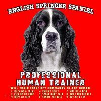 English Springer Spaniel Black Professional Human Trainer Santa Hat thumb 1