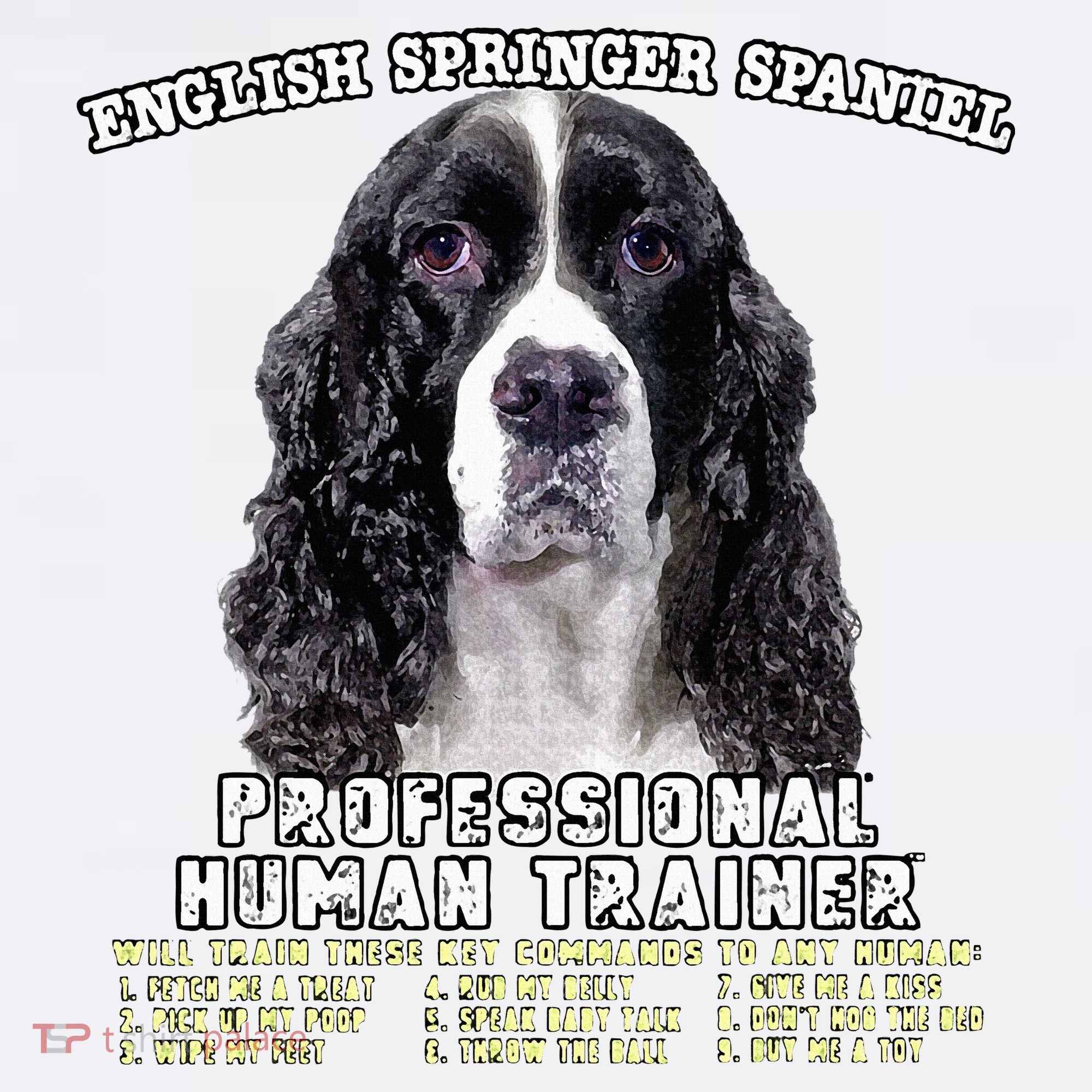 English Springer Spaniel Black Professional Human Trainer Women's Perfect Tri Tunic Long Sleeve Shirt