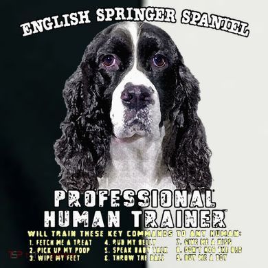 English Springer Spaniel Black Professional Human Trainer Women's Tri-Blend 3/4-Sleeve Raglan Shirt