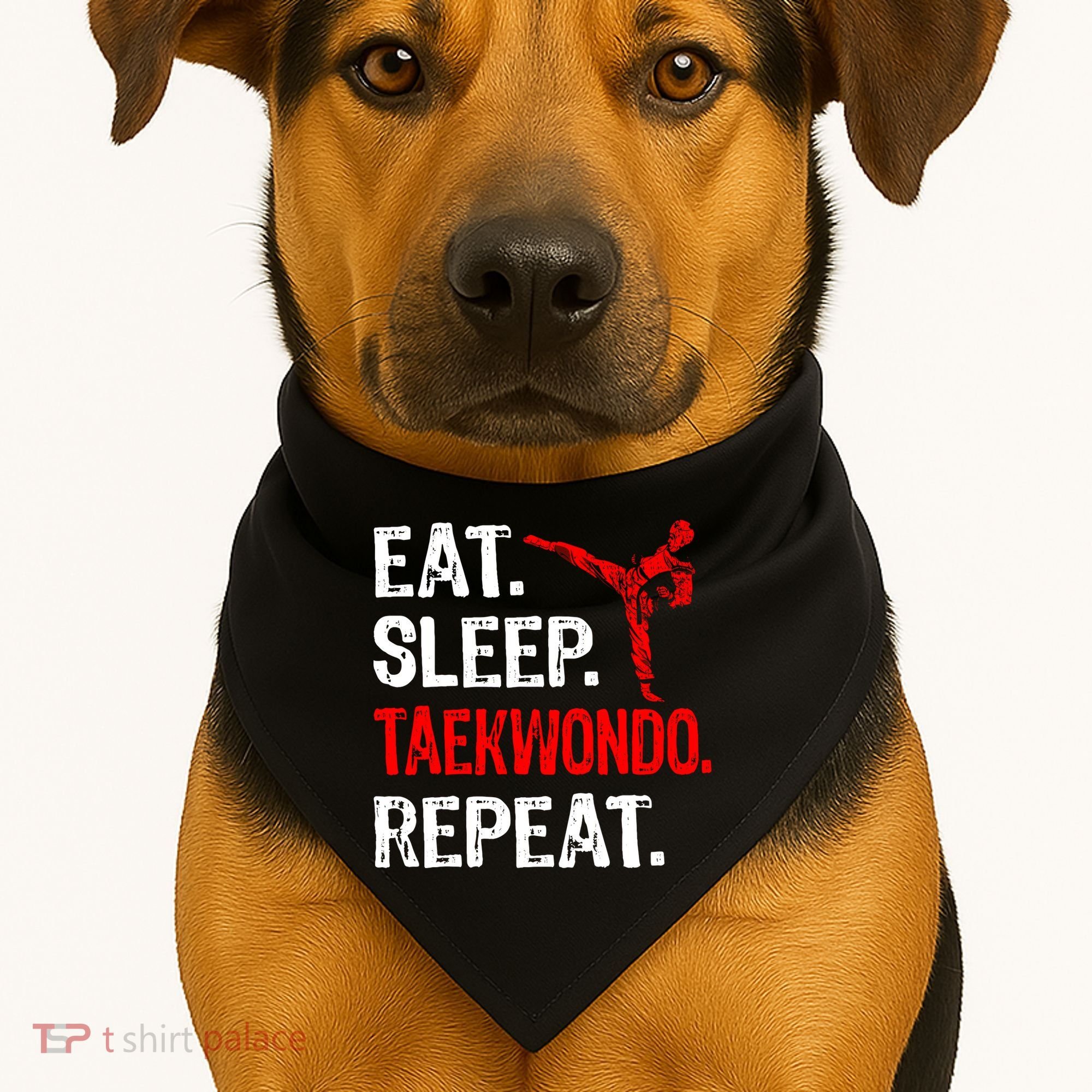 Eat Sleep Taekwondo Repeat Taekwondo Player Funny USA-Made Doggie Bandana