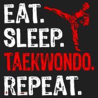 Eat Sleep Taekwondo Repeat Taekwondo Player Funny Tumbler thumb 3