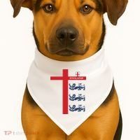 England Soccer Three Lions Flag USA-Made Doggie Bandana thumb 1