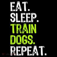 Eat Sleep Train Dogs Trainer Training Funny Meaningful Gift Women's Hoodie thumb 2