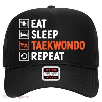 Eat Sleep Taekwondo Repeat Martial Arts Tkd Cool Gift Hat