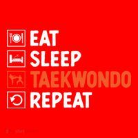 Eat Sleep Taekwondo Repeat Martial Arts Tkd Cool Gift Santa Hat thumb 1