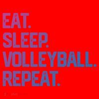 Eat Sleep Volleyball Repeat Team Coach Matching Cool Gift Santa Hat thumb 1