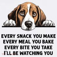 Every Snack You Make Every Meal You Bake Funny Beagle Women's Hoodie thumb 2