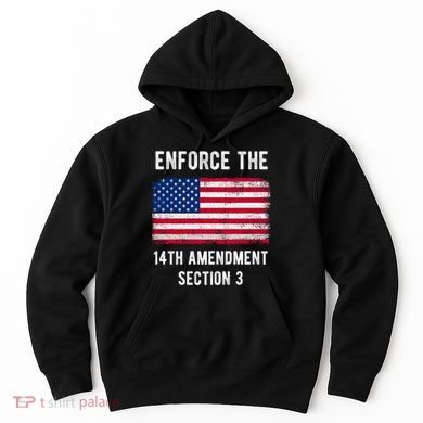Enforce The 14th Amendment Section 3 Hoodie