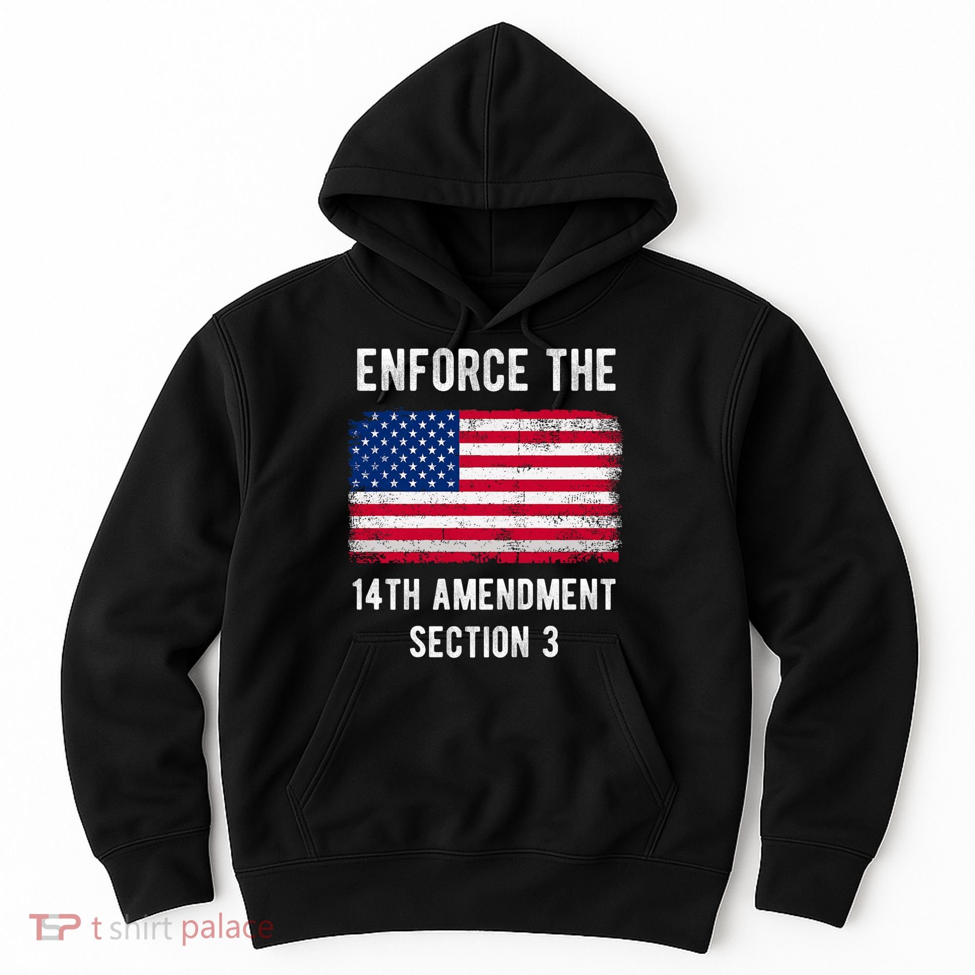 Enforce The 14th Amendment Section 3 Hoodie