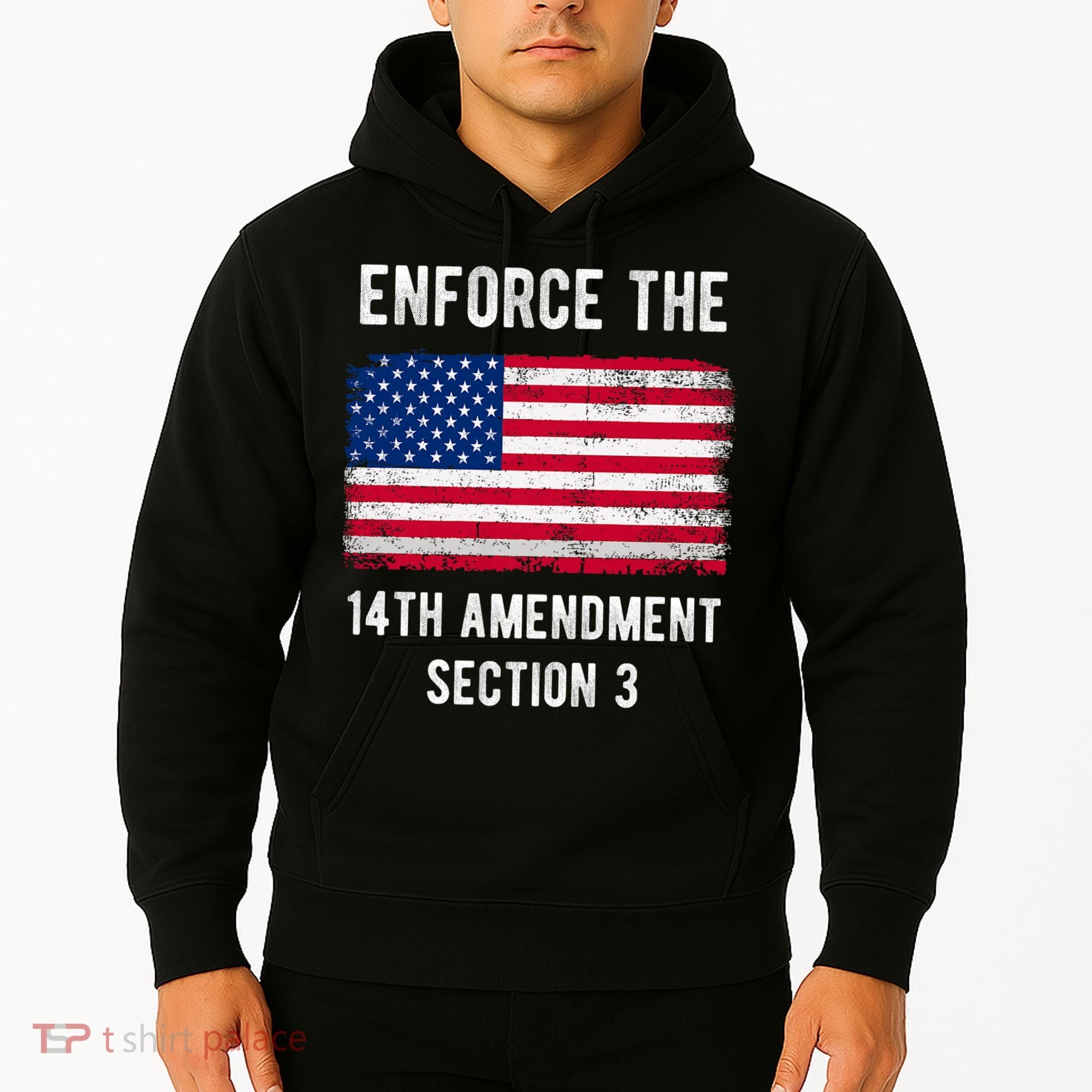 Enforce The 14th Amendment Section 3 Hoodie