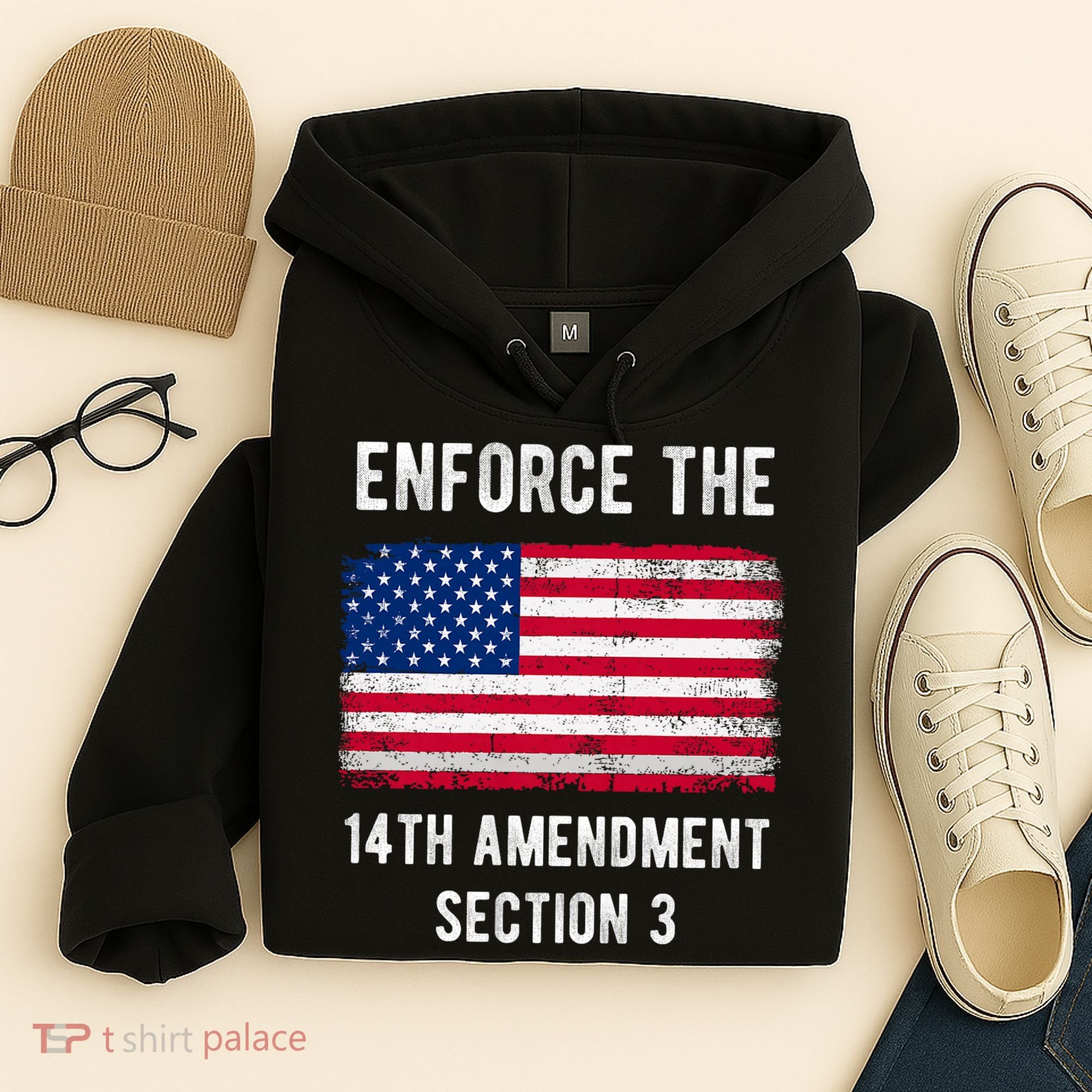 Enforce The 14th Amendment Section 3 Hoodie