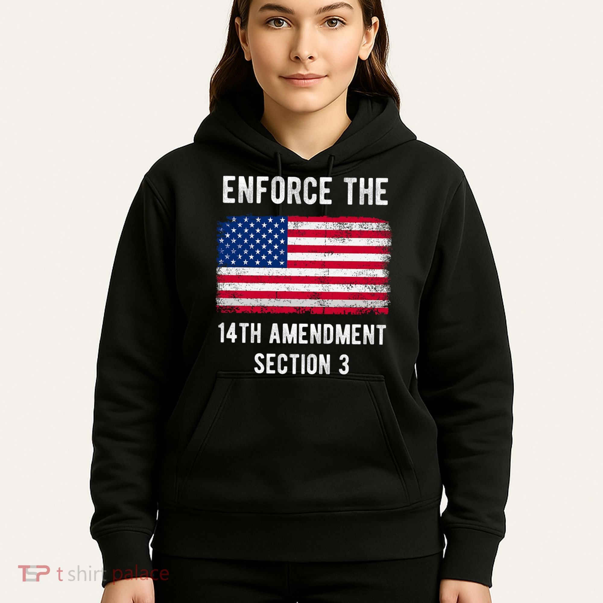 Enforce The 14th Amendment Section 3 Hoodie
