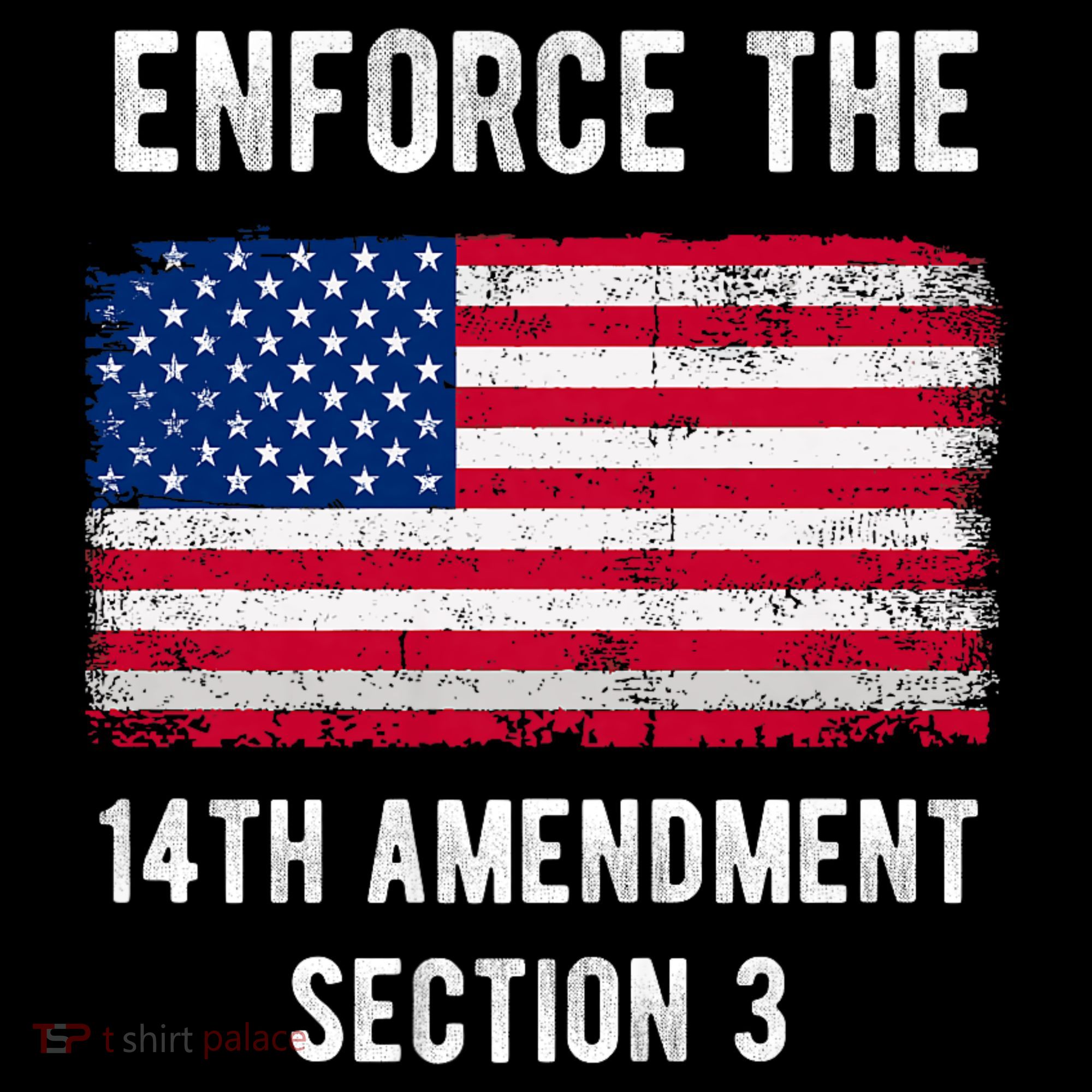 Enforce The 14th Amendment Section 3 Hoodie