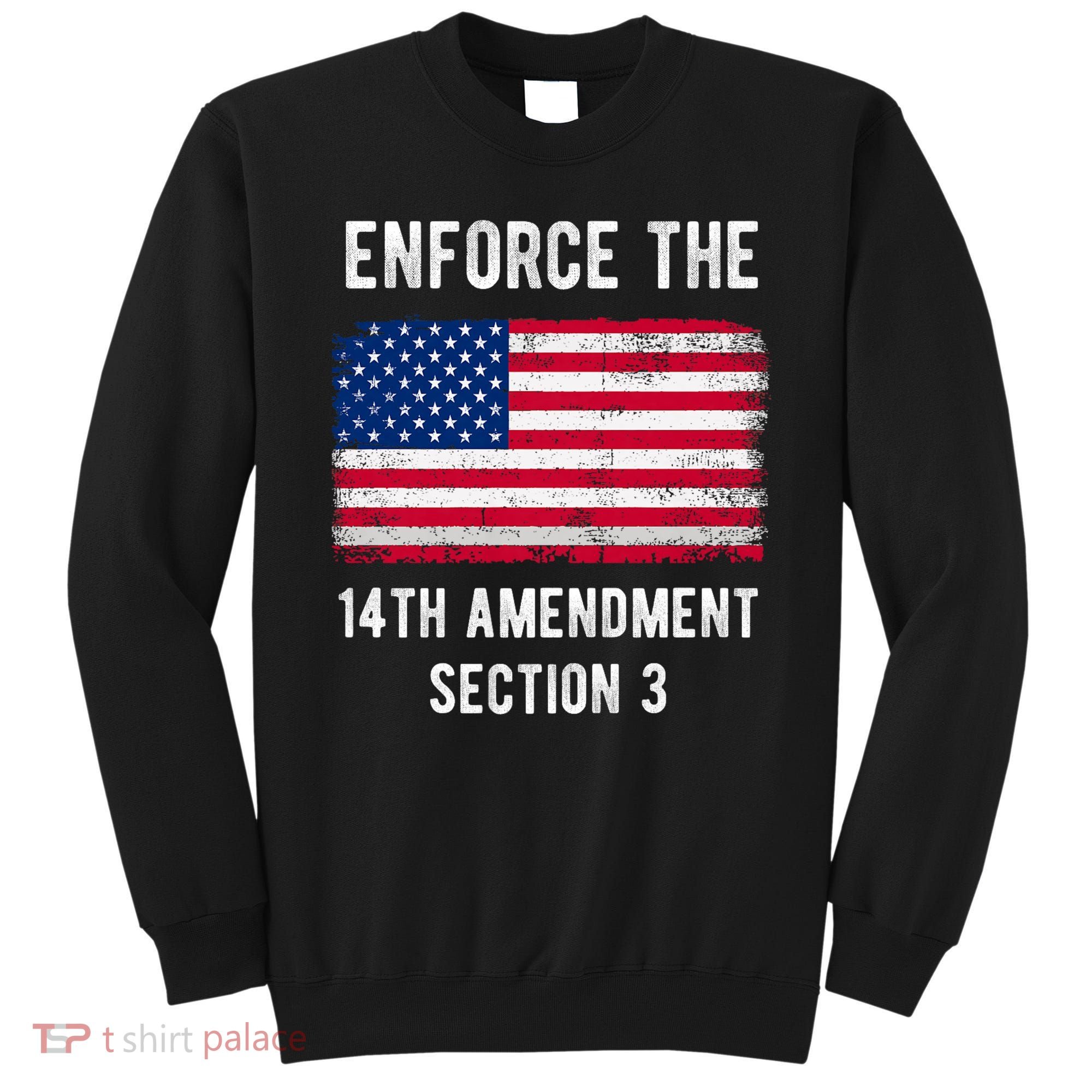 Enforce The 14th Amendment Section 3 Sweatshirt