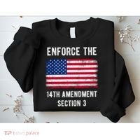 Enforce The 14th Amendment Section 3 Sweatshirt thumb 2
