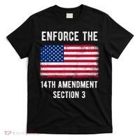 Enforce The 14th Amendment Section 3 T-Shirt thumb 0