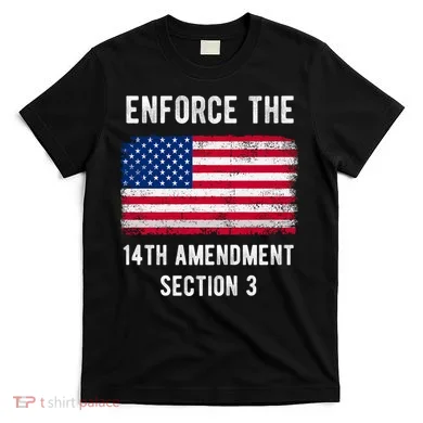 Enforce The 14th Amendment Section 3 T-Shirt