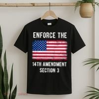 Enforce The 14th Amendment Section 3 T-Shirt thumb 2