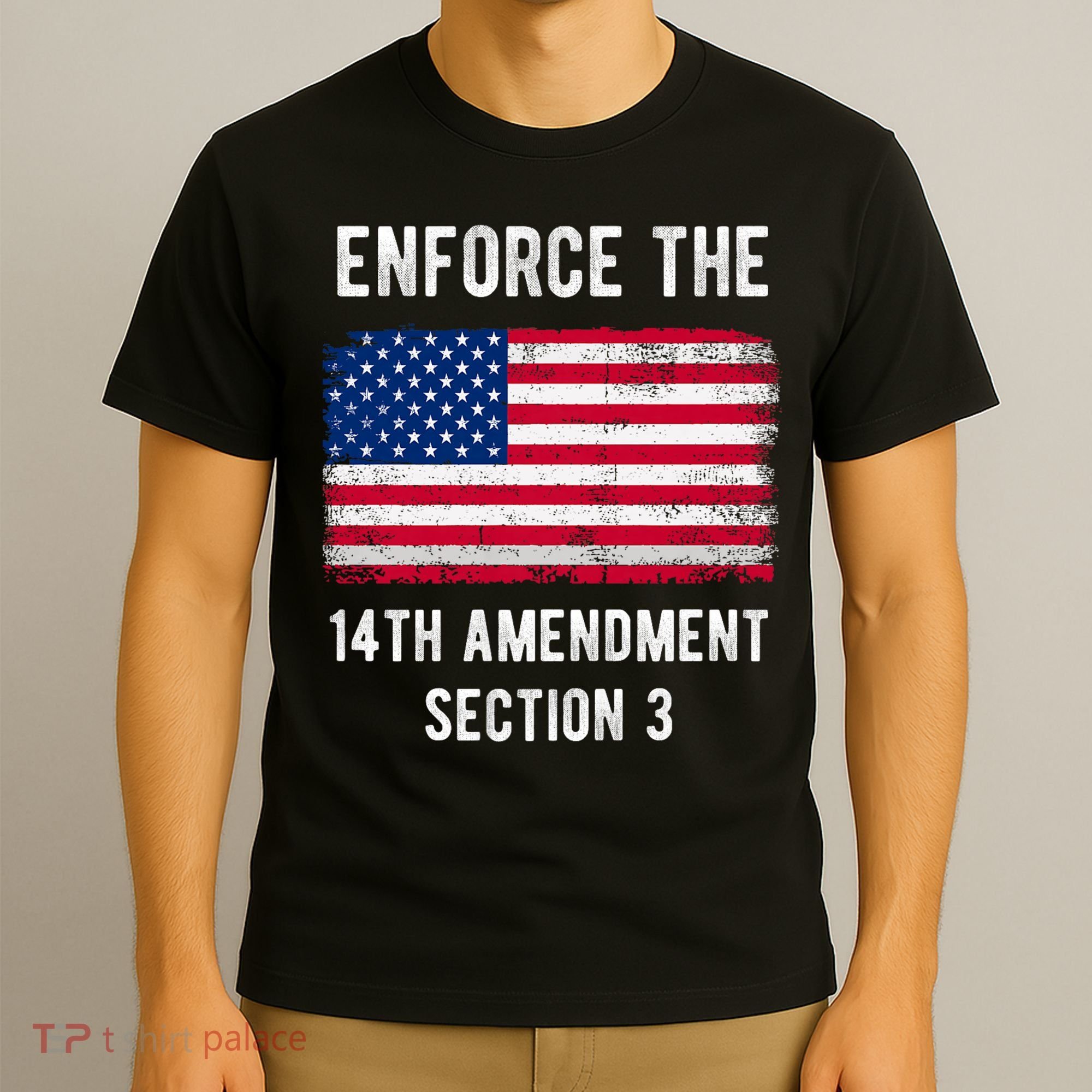 Enforce The 14th Amendment Section 3 T-Shirt