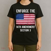 Enforce The 14th Amendment Section 3 T-Shirt thumb 4