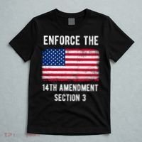 Enforce The 14th Amendment Section 3 T-Shirt thumb 5