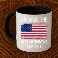 Enforce The 14th Amendment Section 3 Coffee Mug thumb 2