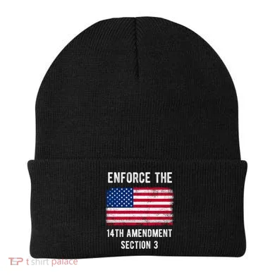 Enforce The 14th Amendment Section 3 Beanie