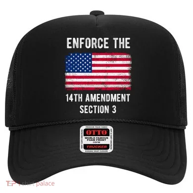 Enforce The 14th Amendment Section 3 Hat