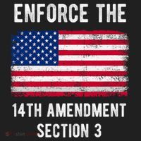 Enforce The 14th Amendment Section 3 Golf Towel thumb 3