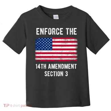 Enforce The 14th Amendment Section 3 Toddler T-Shirt