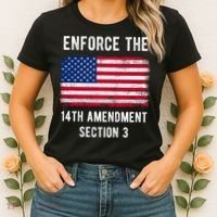 Enforce The 14th Amendment Section 3 Women's T-Shirt thumb 2