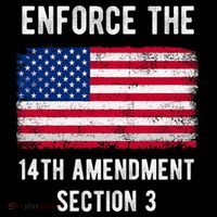 Enforce The 14th Amendment Section 3 Kids T-Shirt thumb 4