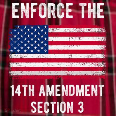 Enforce The 14th Amendment Section 3 Women's Flannel Plaid Pajama Pants