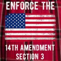 Enforce The 14th Amendment Section 3 Women's Flannel Plaid Pajama Pants thumb 2