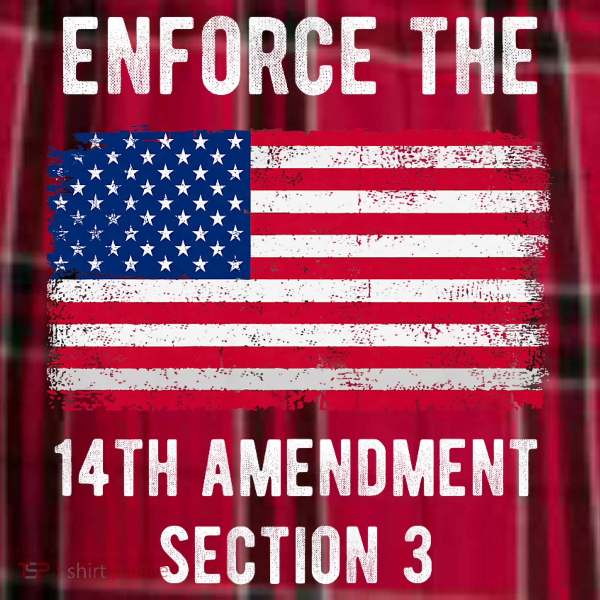 Enforce The 14th Amendment Section 3 Women's Flannel Plaid Pajama Pants