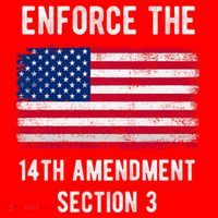 Enforce The 14th Amendment Section 3 Santa Hat thumb 1