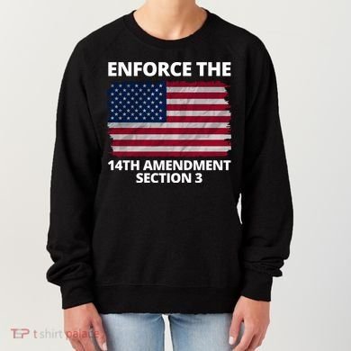 Enforce The 14th Amendment Section 3 Women's Sweatshirt