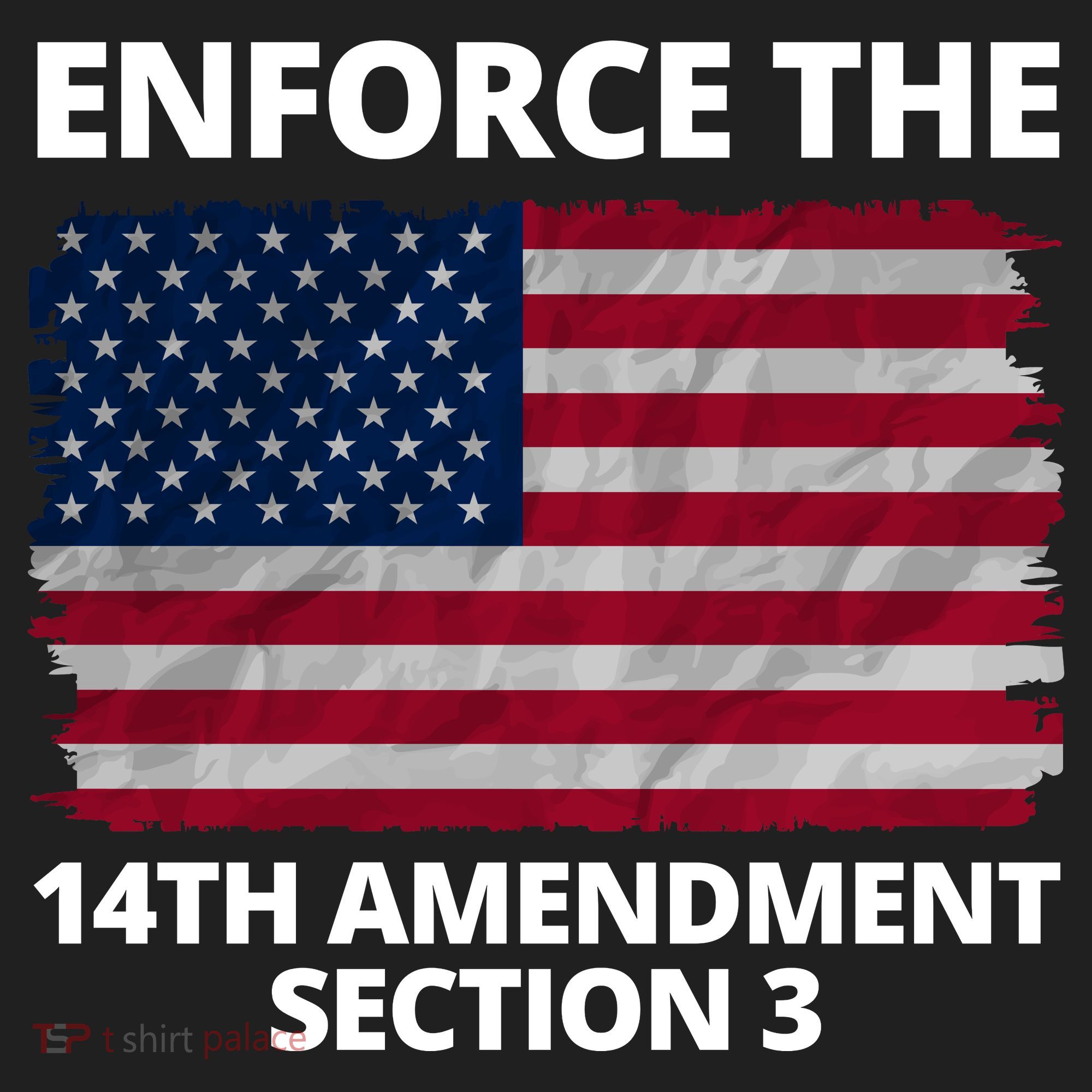 Enforce The 14th Amendment Section 3 Women's Sweatshirt