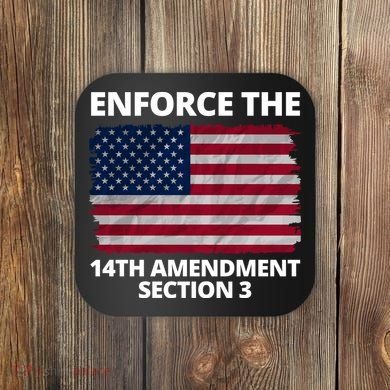Enforce The 14th Amendment Section 3 Coaster