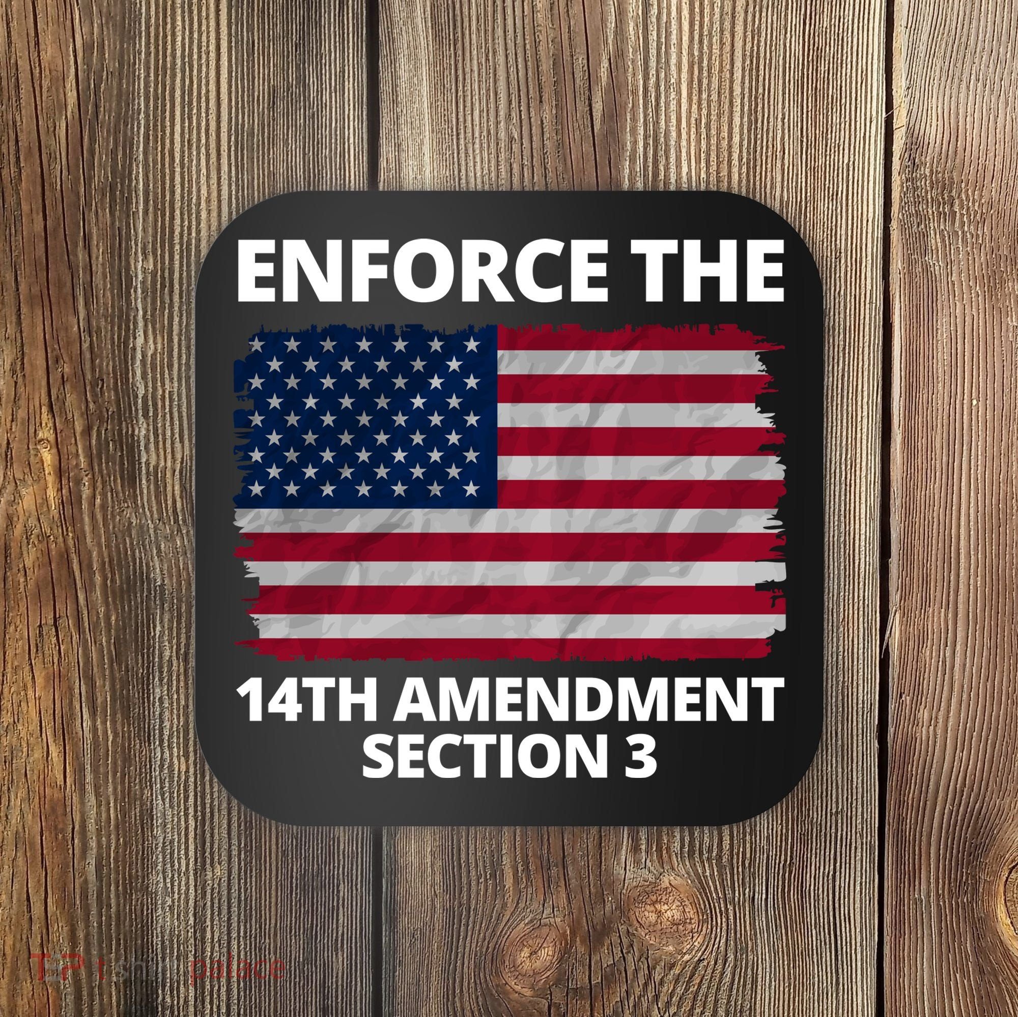 Enforce The 14th Amendment Section 3 Coaster