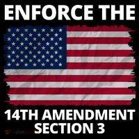 Enforce The 14th Amendment Section 3 Coaster thumb 2