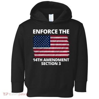 Enforce The 14th Amendment Section 3 Toddler Hoodie