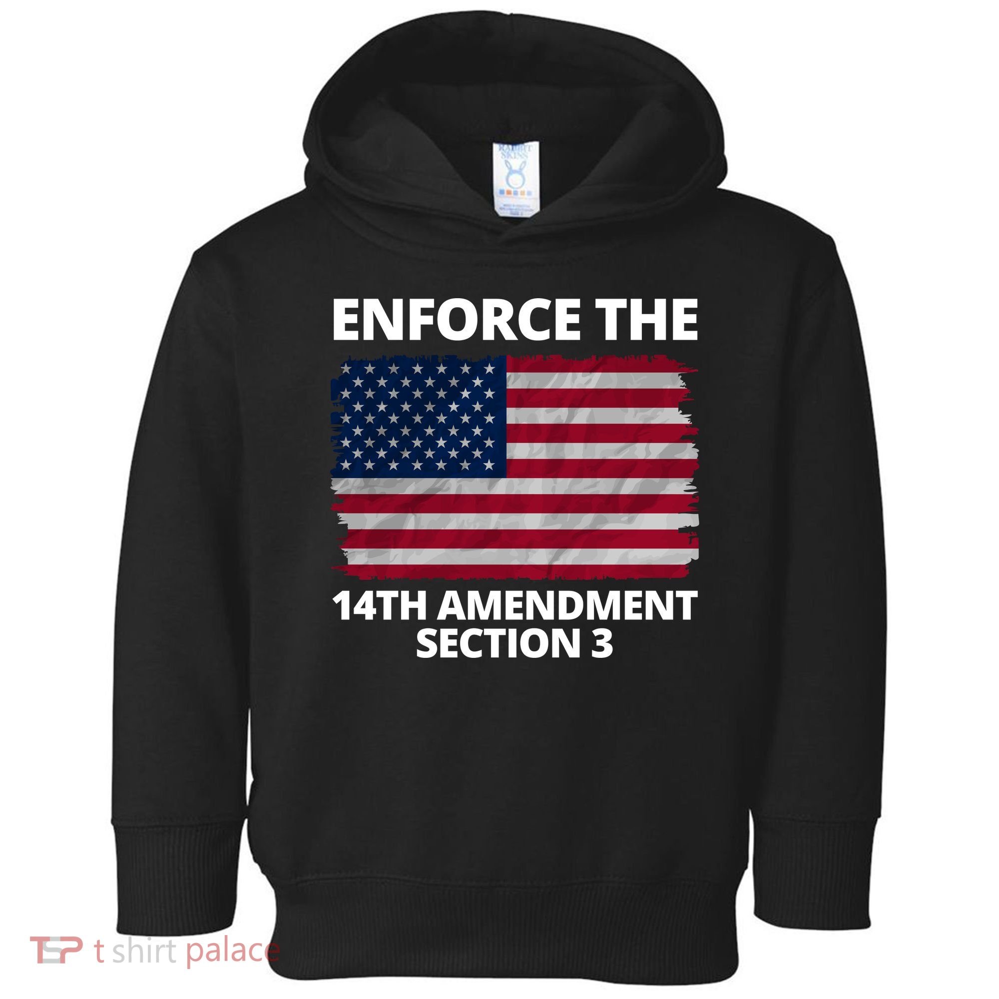 Enforce The 14th Amendment Section 3 Toddler Hoodie