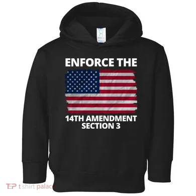 Enforce The 14th Amendment Section 3 Toddler Hoodie