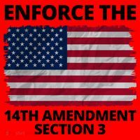 Enforce The 14th Amendment Section 3 Santa Hat thumb 1