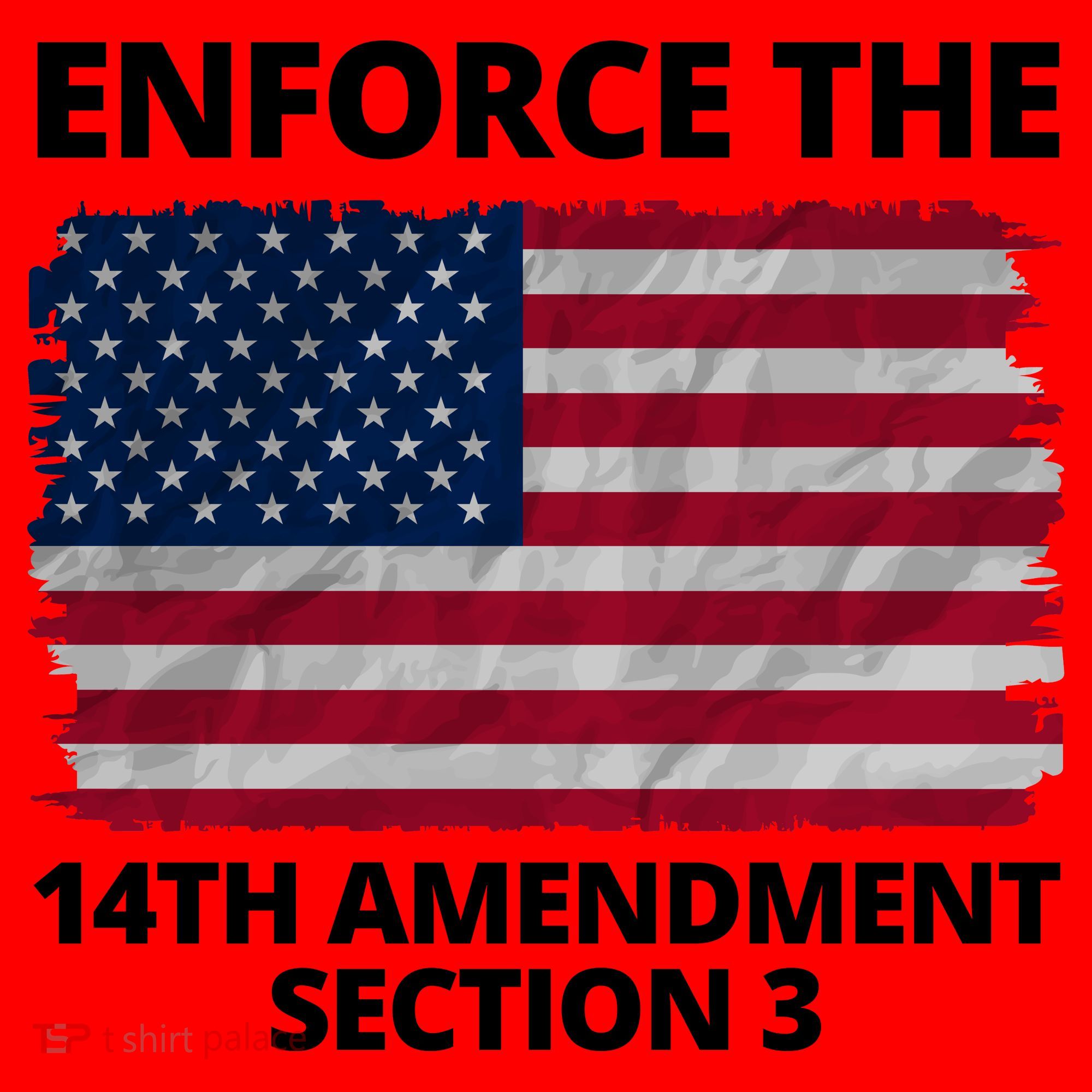 Enforce The 14th Amendment Section 3 Santa Hat