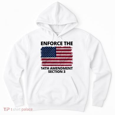 Enforce The 14th Amendment Section 3 Hoodie