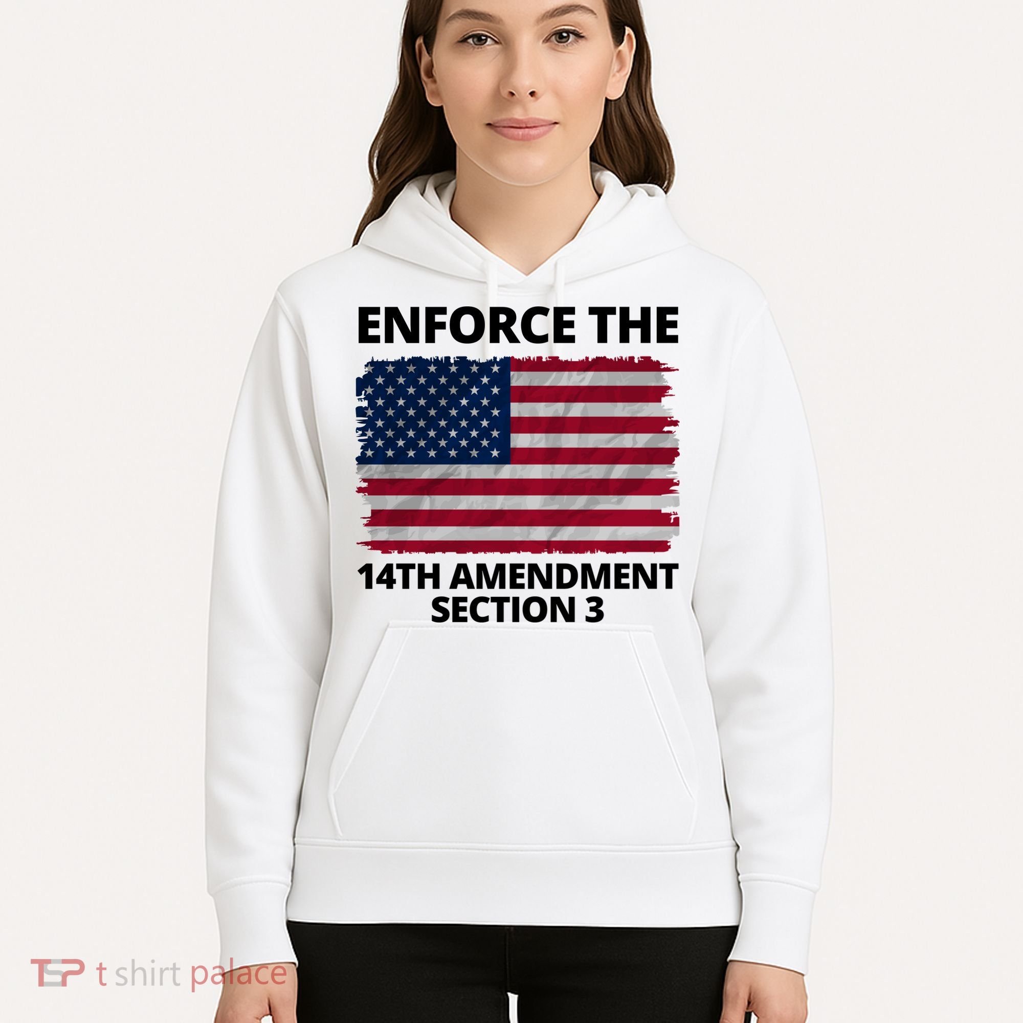 Enforce The 14th Amendment Section 3 Hoodie