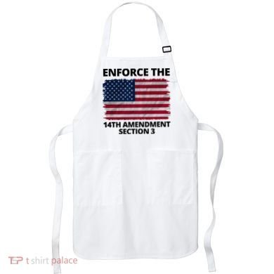 Enforce The 14th Amendment Section 3 Apron